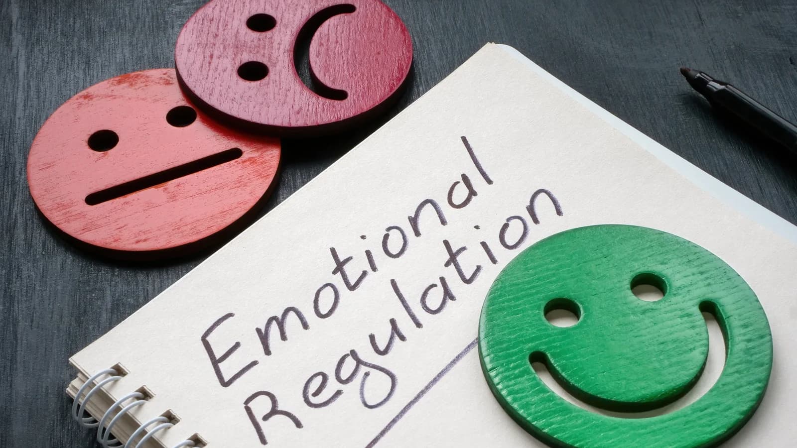 Emotional regulation notebook for parents helping a teen manage intense feelings